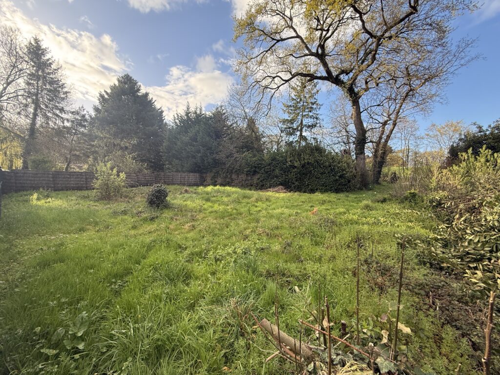 Terrain constructible